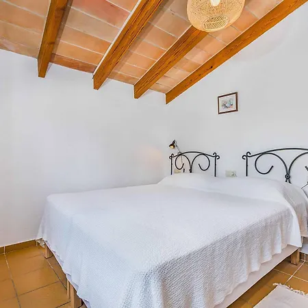 Oli Villa Pollenca
